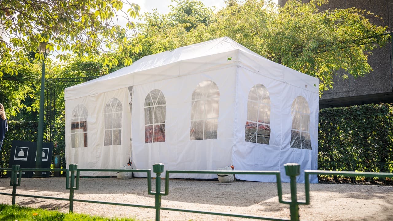 Pop-up telt 3x6m til leie