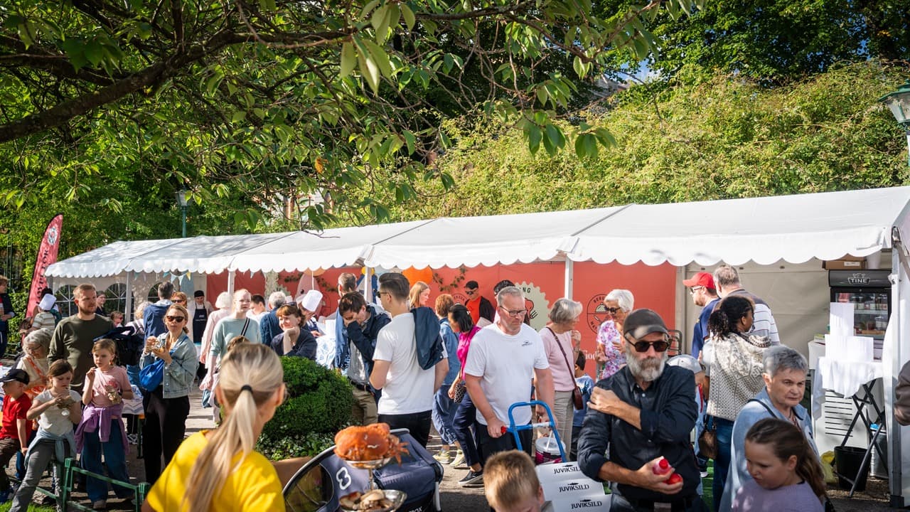 Leie rammetelt i 3m bredde