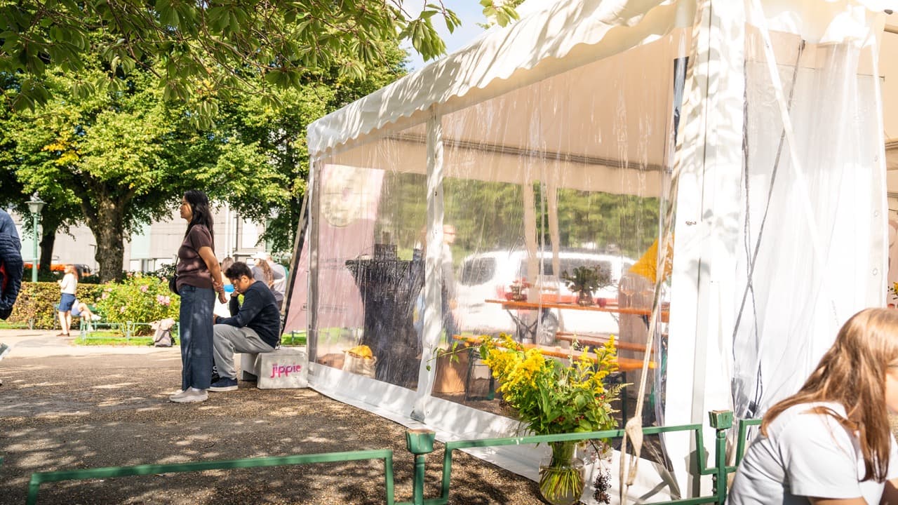 Leie topptelt i Bergen, Haugesund, Stord, Geilo