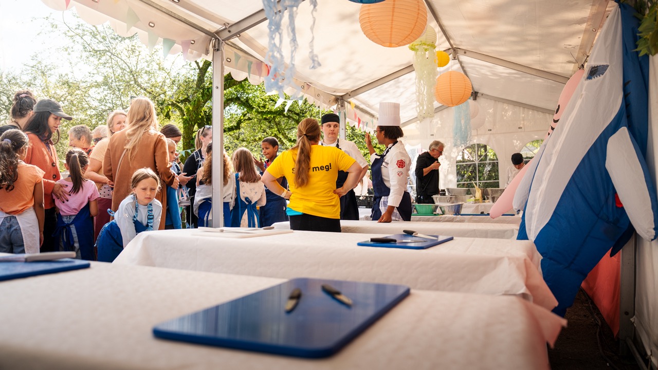 Partytelt i 3m bredde til leie i Bergen
